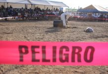 Coepriss fortalece campaña permanente para el buen uso y manejo de plaguicidas