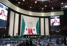 Diputados van por ‘tijerazo’ millonario a órganos autónomos en Presupuesto 2021