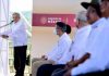 Impulsará López Obrador el cultivo del maguey en Oaxaca
