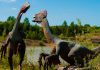 Reconstrucción 3D del cerebro de un dinosaurio revela dieta y movilidad