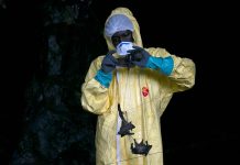 Científicos salen a cazar nuevos virus en África