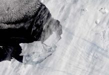 Detectan más de 30 mil sismos en la Antártida desde agosto