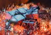 ¿Aún sin regalo de Navidad? Conoce cómo dar sin gastar tanto