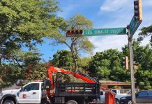 VIALIDAD Y TRANSPORTES MEJORA Y REVITALIZA EL 50% DE LOS SEMÁFOROS EN GUASAVE