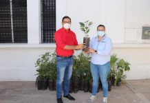 Recibe Soto Grave 3 mil árboles de la Secretaría de Desarrollo Sustentable: se entregan bolsas de tela en el mercado municipal y distintivos de libres de plástico.