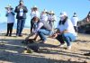 Participa SEDESU en la liberación de tres tortugas Carey en Navachiste