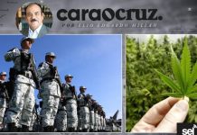EL NARCO Y SU PORVENIR EN EL NUEVO GOBIERNO