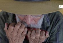 Acompañado con su armónica llegó de Jalisco a conocer Mazatlán