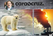 !ESTAMOS CORTANDO LAS RAMÁS DEL ÁRBOL EN EL QUE ESTAMOS SENTADOS»