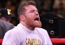 Despojan al ‘Canelo’ Álvarez de uno de sus títulos