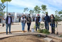 Suma SEDESU 200 mil árboles donados para incrementar la cobertura forestal de Sinaloa