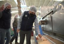 Lidera Sinaloa la creación de empleos en Diciembre