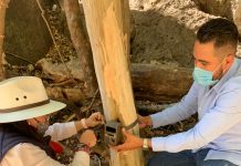 Apoya SEDESU certificación de 6 mil hectáreas como Área Destinada Voluntariamente a la Conservación