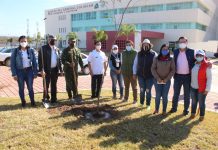 SEDESU, Botánico y Secretaría de Salud siembran árboles en el nuevo Hospital General de Culiacán