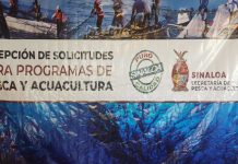 Se registran los primeros pescadores para el programa de Adquisición de Motores