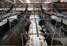 Sinaloa de los estados con mejor comportamiento en su economía en el Tercer Trimestre del 2020 en el ITAEE del INEGI