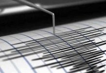 Terremoto de magnitud 7.7 activa alerta de tsunami en varias islas del Pacífico