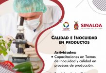 El Gobierno de Sinaloa pone en marcha programas en beneficio de MiPyMEs y emprendedores