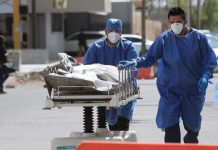 México pudo evitar 190,000 muertes por Covid-19 en 2020: OMS