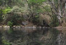Denuncian 73 proyectos mineros en áreas naturales protegidas de México