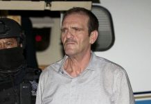 Juez absuelve a «El Güero» Palma por delito de delincuencia organizada; ordena su liberación