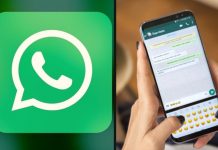 Con chatbot, WhatsApp e INE combatirán desinformación y noticias falsas