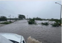 LA CFE MANTENDRÁ DURANTE TODA LA NOCHE ACTIVIDADES DE RESTABLECIMIENTO Y, HASTA EL MOMENTO, HA ALCANZADO AL 80.5% DE LOS USUARIOS AFECTADOS POR EL PASO DE LA TORMENTA TROPICAL DOLORES EN LOS ESTADOS DE COLIMA, JALISCO, MICHOACÁN, NAYARIT Y SINALOA.