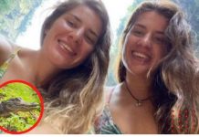 Así habría sido el ataque de cocodrilos a turistas inglesas en Oaxaca