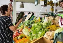Toda la economía se reabriría en 4 meses, estima Hacienda