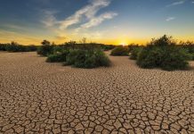Advierte ONU que vendrá una «nueva pandemia» peor y más catastrófica que la del Covid-19