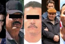 ¿Cuáles son los cárteles más peligrosos del mundo? CJNG y Cártel de Sinaloa están en el top