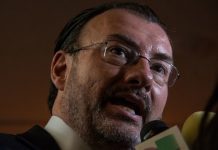 Esto es lo que dicen las declaraciones patrimoniales de Luis Videgaray