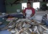 A lo que «Dios mande», la venta de pescado en el embarcadero