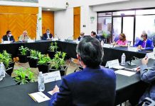 Reportan 782 ataques en el actual periodo de campaña