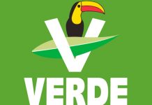 PVEM podría perder registro por reincidencia o INE podría revivir caso de 2015