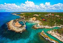 Justicia para Leo… Grupo Xcaret va por amparo para evitar culpa