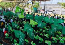 INE perfila multa de 40 mdp al PVEM tras violar veda con ‘influencers’