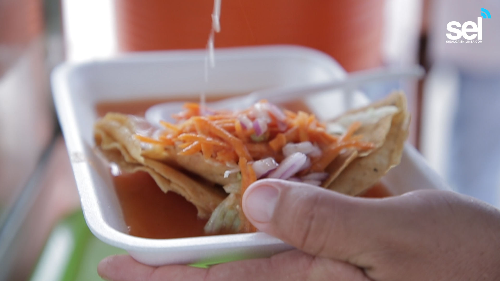 Llegan a Mazatlán tacos dorados de camarón estilo Escuinapa Sinaloa
