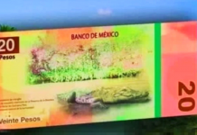 Banxico alista salida de Juárez y Morelos en nuevos billetes de 20 y 50 pesos