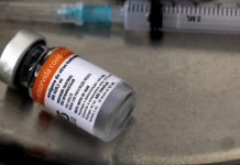 Anticuerpos de vacuna Sinovac se disipan a los 6 meses: estudio