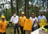 SEDESU entrega herramientas especializadas para Sanidad Forestal