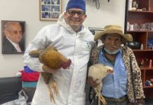 Abuelito paga con dos gallinas operación de próstata porque no tenía dinero