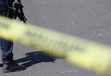 Segmentación de cárteles ha dado paso a 227 bandas criminales activas en México