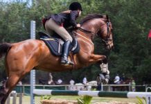 PETA pide eliminar pruebas ecuestres de los Juegos Olímpicos