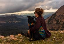 Así ayudan las mascotas a mejorar la salud mental de las personas