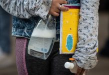 De México, 25% de niños que no han regresado a la escuela: Unicef