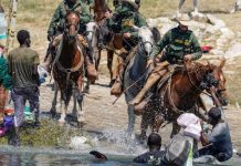 EU frena uso de caballos para vigilar la frontera