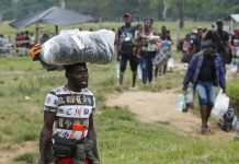 Sembrando Vida llegará a Haití antes de que acabe el 2021: embajador