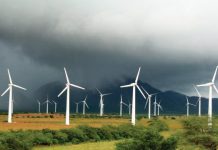 México no está innovando en transición energética; todo esto va a perder, según expertos