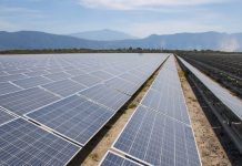 Reforma eléctrica desmantelaría energías renovables, alertan empresas del sector